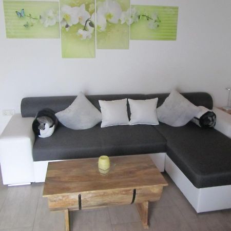 Appartamento Marienstrasse Neukirchen vorm Wald Esterno foto